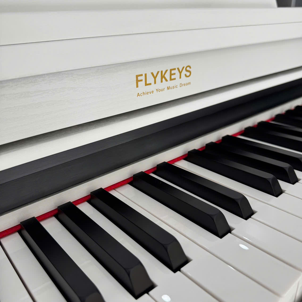 FLYKEYS FDP3